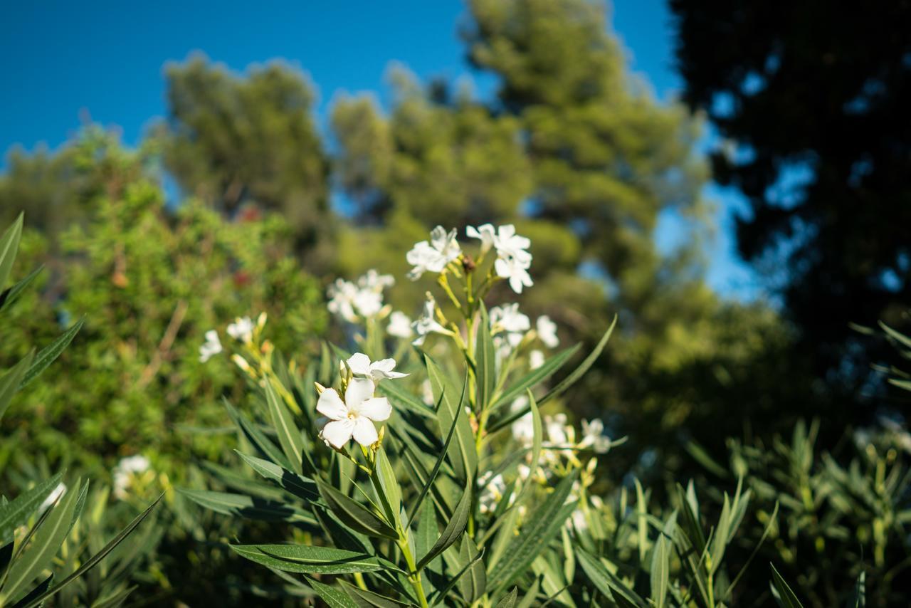 לינה וארוחת בוקר אקס-אן-פרובאנס Domaine De Saint Clair מראה חיצוני תמונה